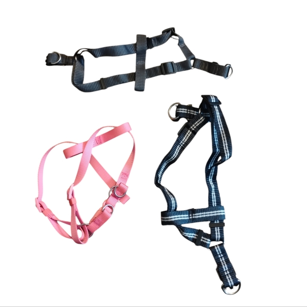 Set of Three Dog Harnesses in Black, Pink, and Blue